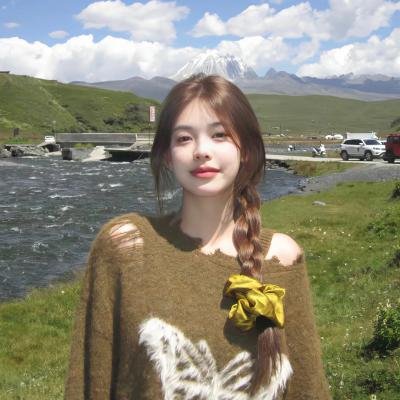 护国良相狄仁杰之风摧边关 海报