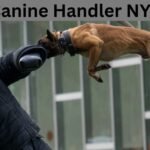 Canine Handler NYT