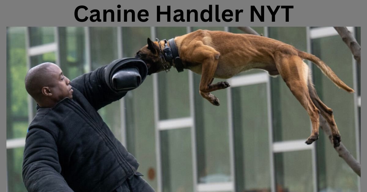 Canine Handler NYT