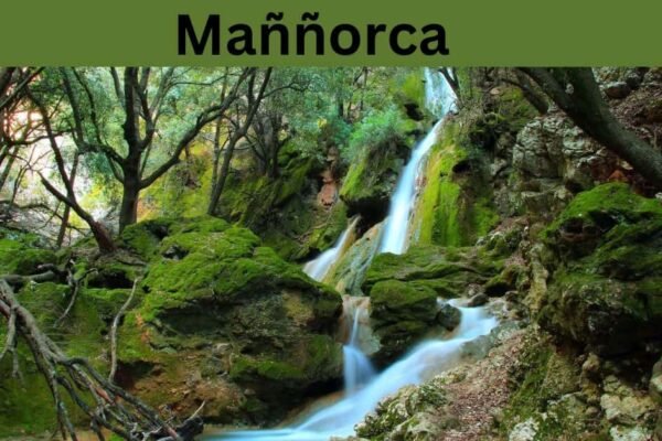 Maññorca