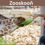 Zooskooñ