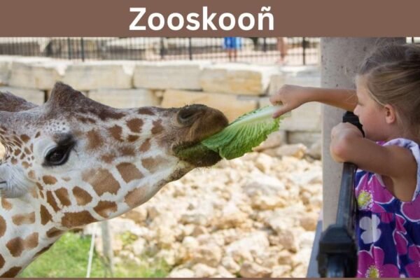 Zooskooñ